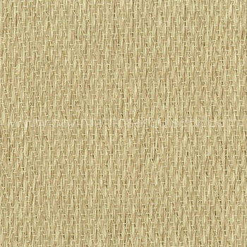 Arena Keplan Arena Keplan